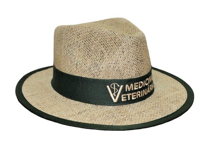 Veterinária 1